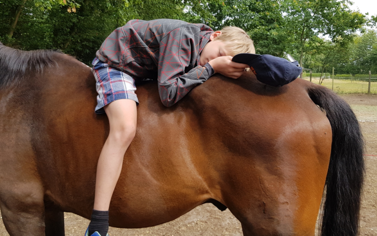 Pferdegestütztes Training 2019 wieder ein voller Erfolg