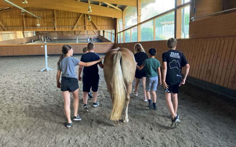 Pferdegestütztes Training 2023 wieder in Nordhessen